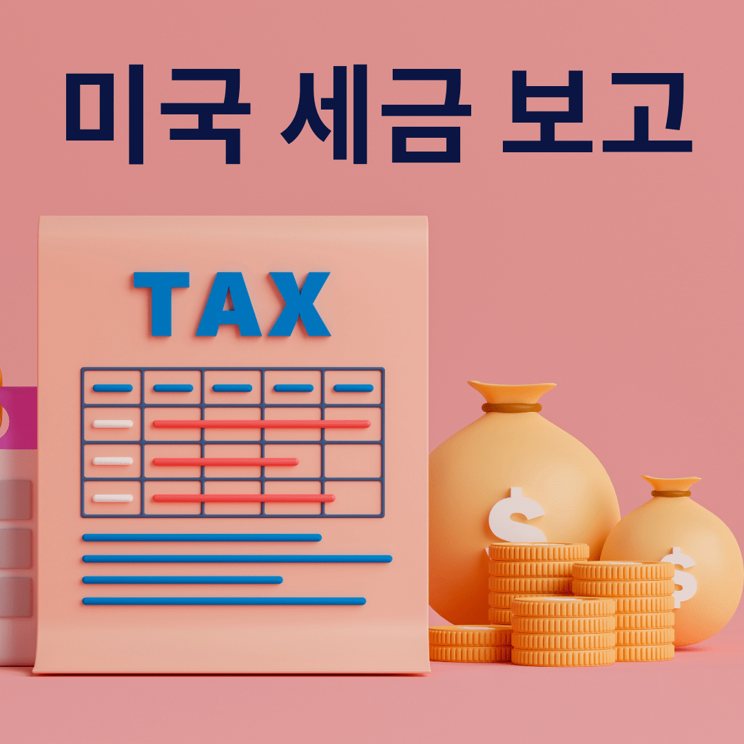 미국 세금 보고