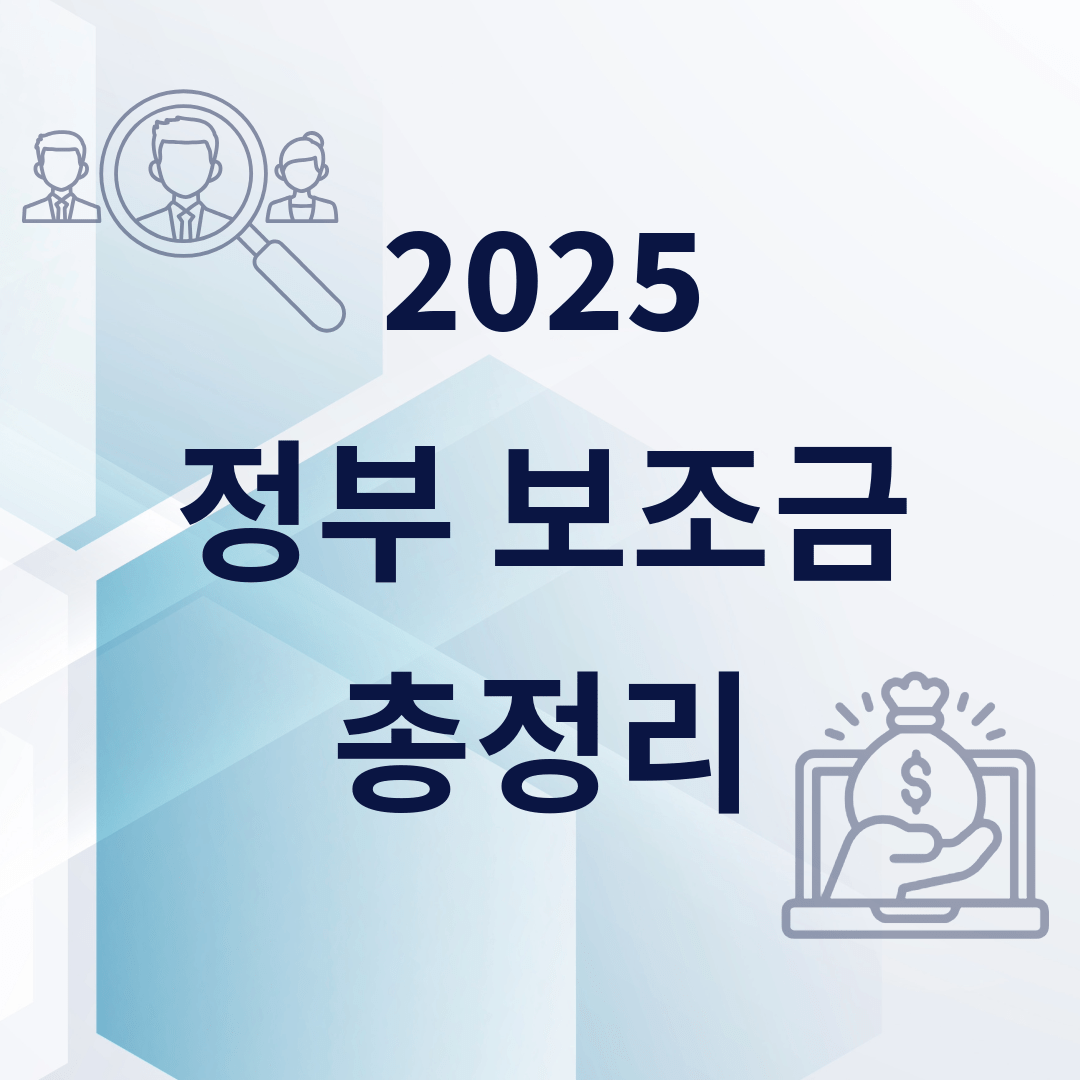 정부 보조금
